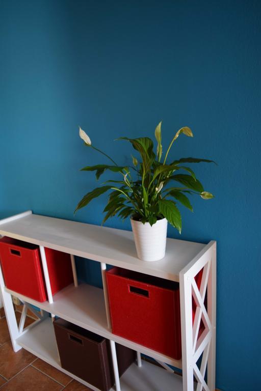 Apartamento Obstkorb Stralsund Habitación foto